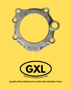 Rear Output Shaft Bearing Retainer